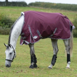 Weatherbeeta Comfitec Plus Dynamic II Medium/LITE, 100 G Turnout, 60" - 69" -Horse Supply Store 1006915010 dynamic std medium lite maroon grazing 47248.1633360826.1280.1280