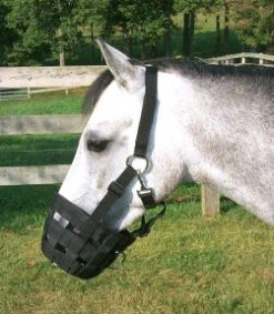 Best Friend Deluxe Grazing Muzzle & Halter