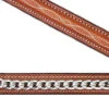 Edgewood Fancy Chain Caveson -Horse Supply Store BEdgewoodChainCaveson 41836.1466105299.1280.1280