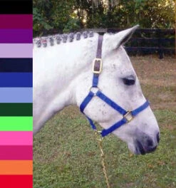 Hamilton Breakaway Halter, Small & Medium Pony Sizes