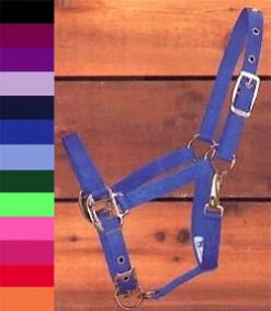Hamilton Nylon Halter, Small Pony To Cob Sizes