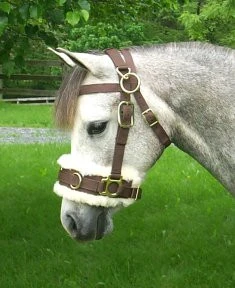 Nylon Lunging Caveson