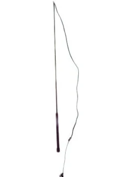 Roma Child's Lunge Whip