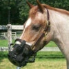 Best Friend Clip-On Grazing Muzzle -Horse Supply Store BMuzzle 59200.1466105106.1280.1280
