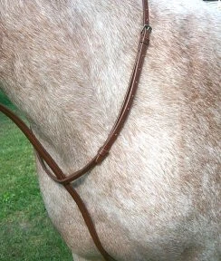 Passport Raised Standing Martingale
