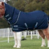 Amigo Petite Plus 200g Stable Blanket, 33" - 48" -Horse Supply Store L Amigo Petite Plus Insulator 20958.1466105657.1280.1280