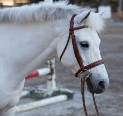 Huntley Equestrian Sedgwick Fancy Stitched Wide Noseband Bridle, Conker Brown, 3 Sizes -Horse Supply Store L Huntley Bridle 22961.1531873004.1280.1280