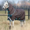 Amigo Bravo 12 Pony PLUS Turnout Sheet, Excalibur/Aq/Turquoise, 45" - 69" -Horse Supply Store L akrp71 jde0 amigo bravo 12 pony plus lite 0g 1 21597.1662139589.1280.1280