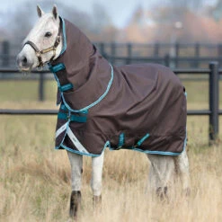 Amigo Bravo 12 Pony PLUS Turnout Sheet, Excalibur/Aq/Turquoise, 45" - 69"