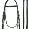 Bobby's Plain Raised Black Bridle -Horse Supply Store LBobbysBlack149 53539.1466105237.1280.1280