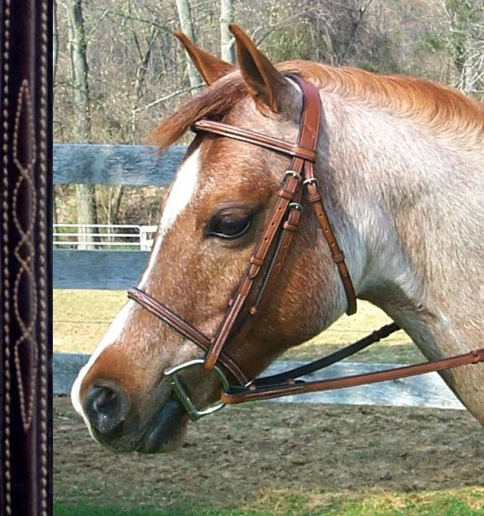 Bobby's Fancy Stitched, Raised Bridle With Fancy Reins 3 Bobby's Fancy Stitched, Raised Bridle With Fancy Reins