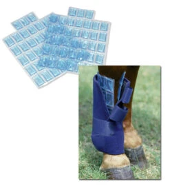 Professional's Choice Flexible Ice Cells