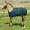 Newborn Pony Foal Turnout Blanket, 27" - 36" -Horse Supply Store LJacksFoalTurnout2 68739.1466105281.1280.1280