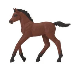 Safari Winner's Circle Morgan Foal