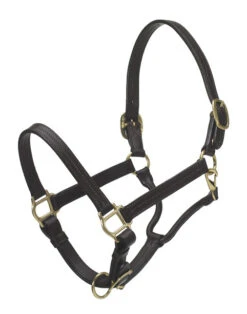 Ovation Triple Stitched Show Halter