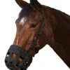 Roma Grazing Muzzle With Halter -Horse Supply Store LRomaGrazingMuzzle 21972.1466105293.1280.1280
