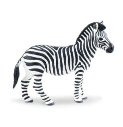 Wild Safari Plains Zebra