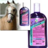 Silverado Silver Shampoo 1 Silverado Silver Shampoo -Horse Supply Store LSilveradoShampoo 77342.1466105301.1280.1280