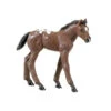 Safari Winner's Circle Appaloosa Foal -Horse Supply Store Lappfoal 41213.1466105541.1280.1280