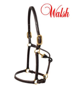 Walsh Sportsman Leather Halter With Adujstable Nose, Havana