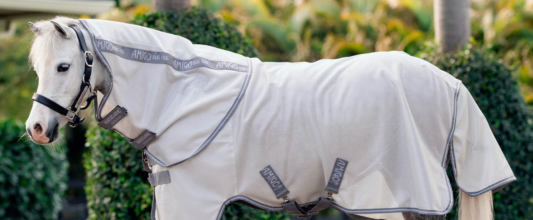 Horse Supply Store -Horse Supply Store XDGDFG