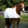 Horseware Pony Fly Sheet Liner, 54" - 69" -Horse Supply Store hw flly sheet liner on horse 98900.1614723047.1280.1280
