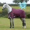 Weatherbeeta Comfitec Plus Dynamic II Medium/LITE, 100 G Turnout, 60" - 69" -Horse Supply Store l 1006915010 wb comfitec dynamic lite 100g maroon 67300.1633360826.1280.1280