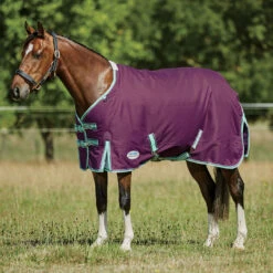 Weatherbeeta Comfitec Premier Freedom Pony Turnout Sheet, 48" - 63"