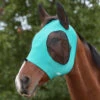 Weatherbeeta DELUXE Stretch Bug Eye Saver Fly Mask With Ears, Pony & Cob, 5 Colors -Horse Supply Store l 1009573000 TURQUOISEBLACK bug eye 55334.1678819439.1280.1280