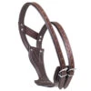 Centaur Wonder Cribbing Collar, Pony -Horse Supply Store l 468761 wonder cribbing 24504.1653922677.1280.1280