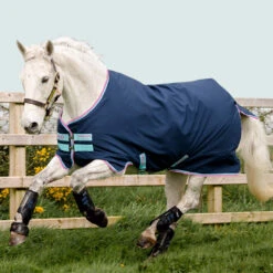 Amigo Pony Hero 900 Medium Turnout, Dark Blue/Capri/Raspberry/Purple, 45" - 69"