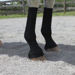 EquiFit HorseSox For Ponies, Black Or White