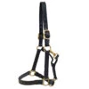 Deluxe Triple Stitched Track Halter With Solid Brass Hardware, Cob -Horse Supply Store l Intrepid cob halter brown 1 inch 89160.1647198261.1280.1280