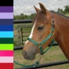 Triple E Nylon Breakaway Halter, Four Sizes -Horse Supply Store l Triple E Breakaway Halter with colors 2022 26198.1643136438.1280.1280