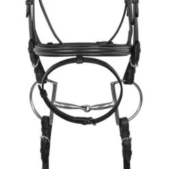 Americana Padded Dressage Bridle With Flash - Pony & Cob 5 Americana Padded Dressage Bridle With Flash - Pony & Cob -Horse Supply Store l americana raised padded dressage bridle closeup 26662.1619388746.1280.1280
