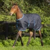 Amigo Foal / Mini Turnout Blanket, Navy/Electric Blue, 30" - 60" 2 Amigo Foal / Mini Turnout Blanket, Navy/Electric Blue, 30" - 60" -Horse Supply Store l amigo foal navy electric blue AARHJ1 BEB0 64156.1614797875.1280.1280