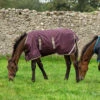 Amigo Foal / Mini Turnout Blanket, Fig/Navy/Tan, 30" - 60" 1 Amigo Foal / Mini Turnout Blanket, Fig/Navy/Tan, 30" - 60" -Horse Supply Store l amigo foal rug fig navy tan 2 83164.1636250574.1280.1280