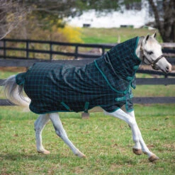 Amigo Pony Plus, 50g Turnout Blanket, 45" - 69"