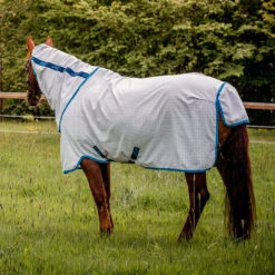 Amigo Aussie All-Rounder Fly/UV Sheet, Disc Front, Blue Check/Electric Blue, 54" - 69" -Horse Supply Store l aussie afrp9t b5ae 10 37171.1678918976.1280.1280