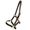 Pony Weanling Halter -Horse Supply Store l beiler weanling halter IMG 5187 09218.1613155812.1280.1280