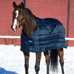 Horseware PONY Blanket Liner, 200 Gm, 45" - 69"