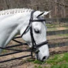 Bobby's Padded, Wide Noseband, Contour Crown, Fancy Bridle -Horse Supply Store l bobbys 1101 wide padded contour 2 92616.1554677215.1280.1280