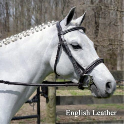 Bobby's Signature Padded, Wide Noseband, Contour Crown, Fancy Bridle