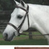 Bobby's Padded, CONTOUR Crown, Fancy Bridle With Fancy Reins 1 Bobby's Padded, CONTOUR Crown, Fancy Bridle With Fancy Reins -Horse Supply Store l bobbys contour padded bridle reins 58548.1489888270.1280.1280