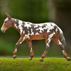 Breyer Buckeye, Dressage Mule -Horse Supply Store l buckeye model breyer 204823 2000x 89175.1662349432.1280.1280