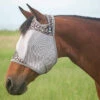Cashel Crusader Fly Mask, No Ears, Leopard, 4 Sizes -Horse Supply Store l cashel leopard no ears 54605.1586052665.1280.1280