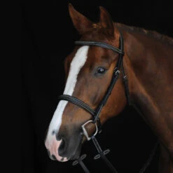 Collegiate Comfort Crown Raised, Fancy Stitched Bridle, Pony & Cob, Brown