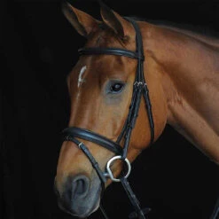 Collegiate Comfort Crown Padded Raised Bridle With Flash, Pony & Cob