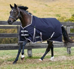 Weatherbeeta Comfitec Essential Heavy, Navy/Silver/Red, 48" - 69"