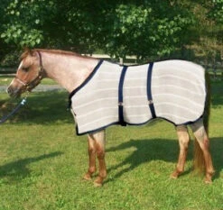 Dennison Anti-Sweat Sheet -Horse Supply Store l dennison anti sweat mosey 36830.1589216705.1280.1280